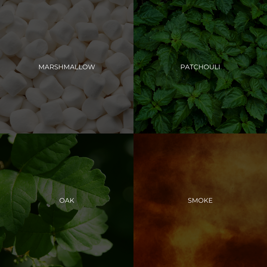 FIRE ROASTED MARSHMALLOWS - Lolomo!