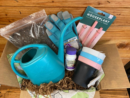 Houseplant Starter Box