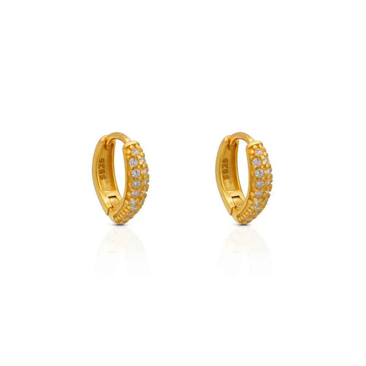 Fabienne Richelieu Gold Earrings