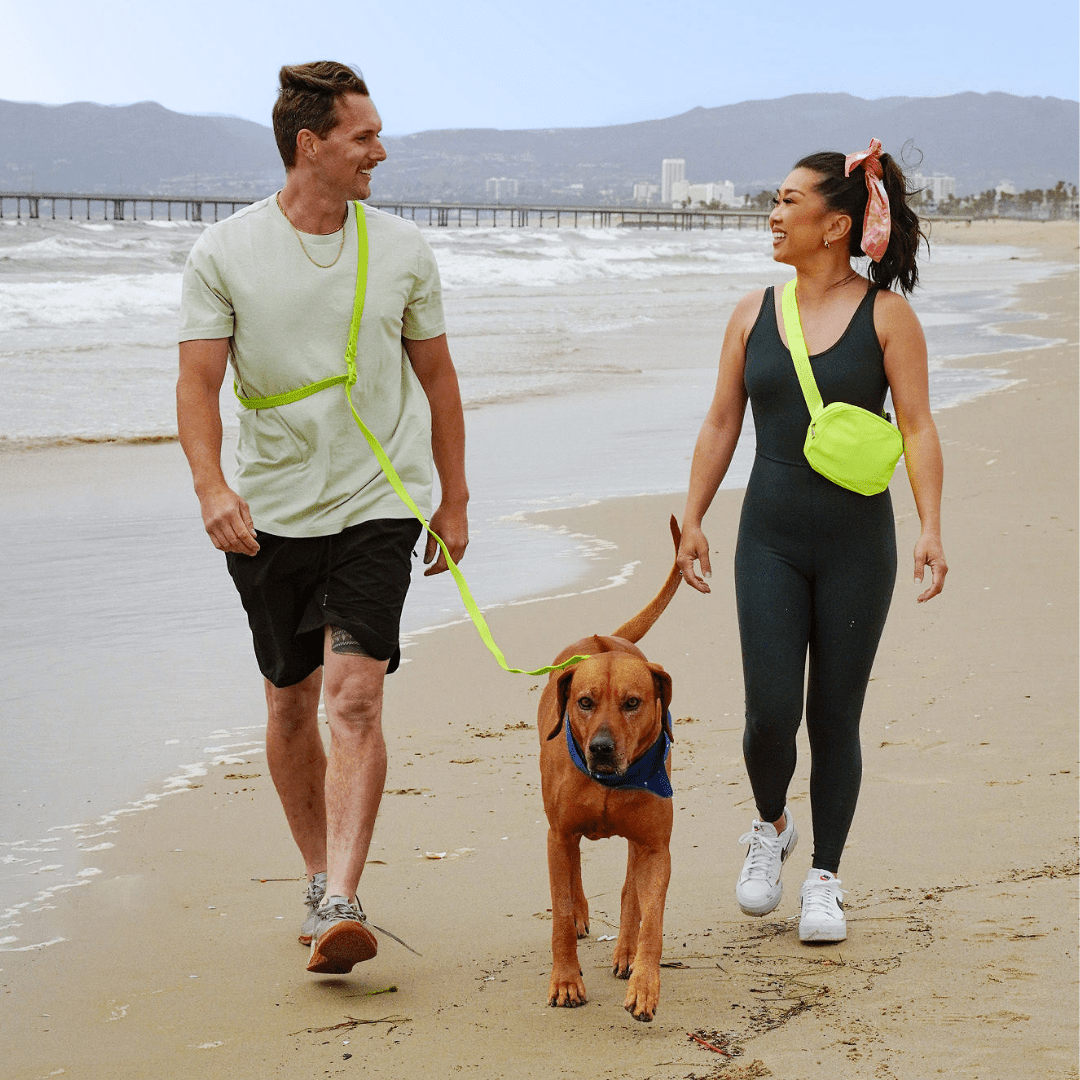 Correa de PVC para perros con manos libres: resistente al agua, a la intemperie, duradera y a los olores.