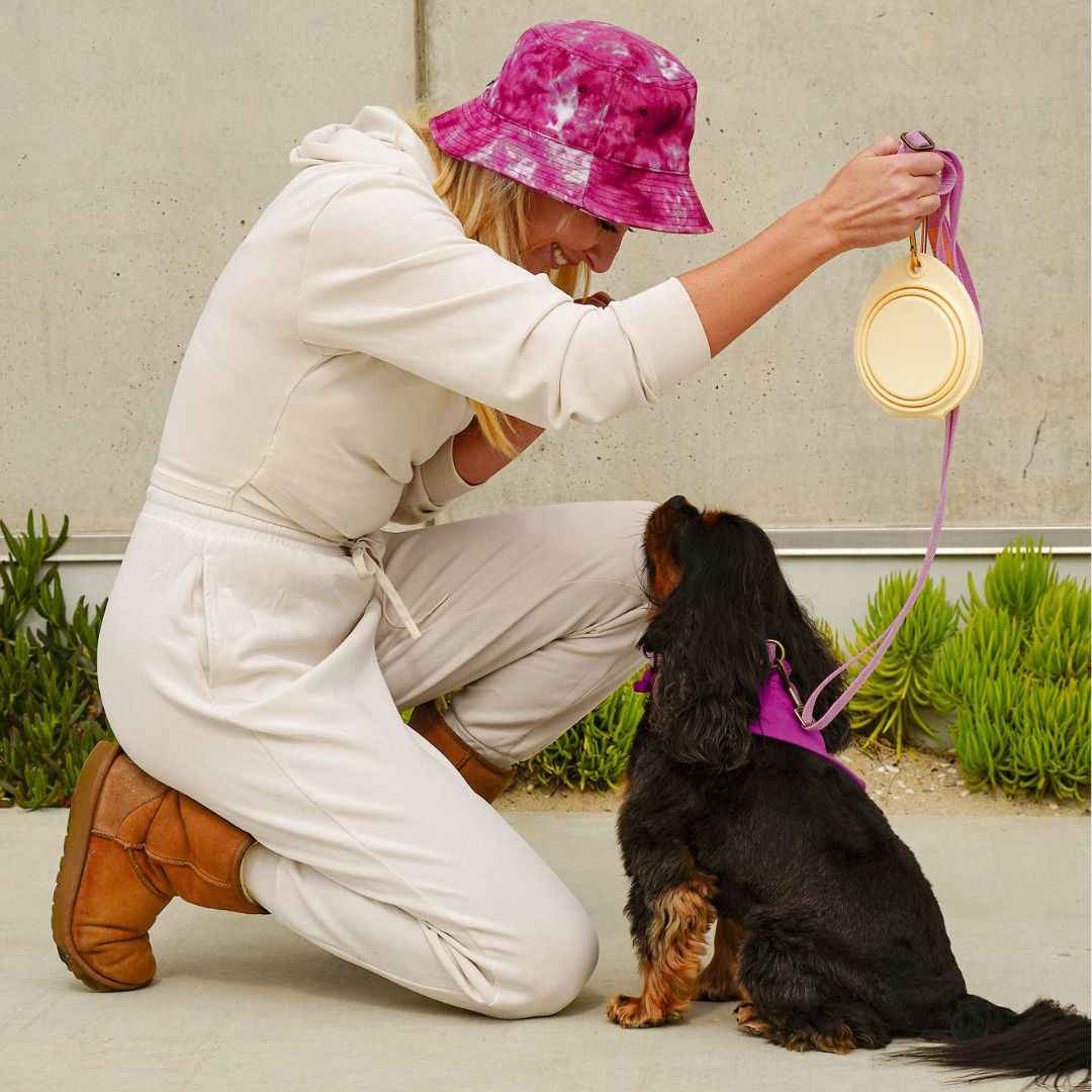 Malibu Sunset Sustainable Hemp Cotton Adjustable Dog Leash – Durable & Soft