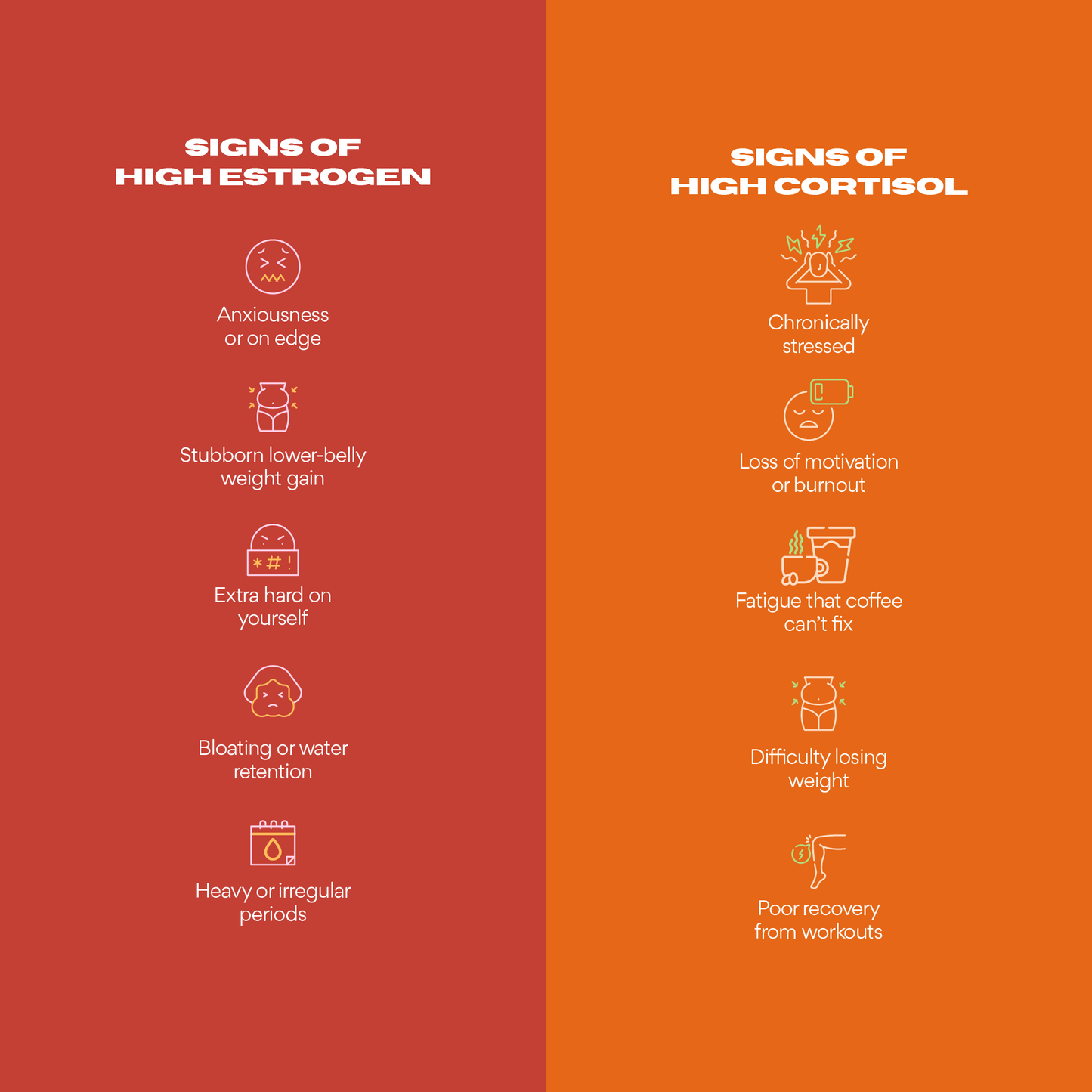 The Balanced Baddie Bundle