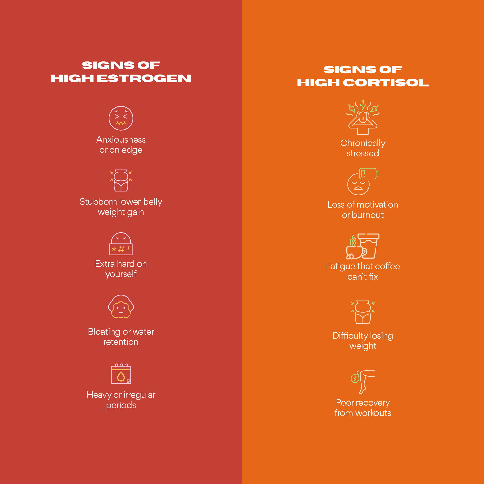 The Balanced Baddie Bundle