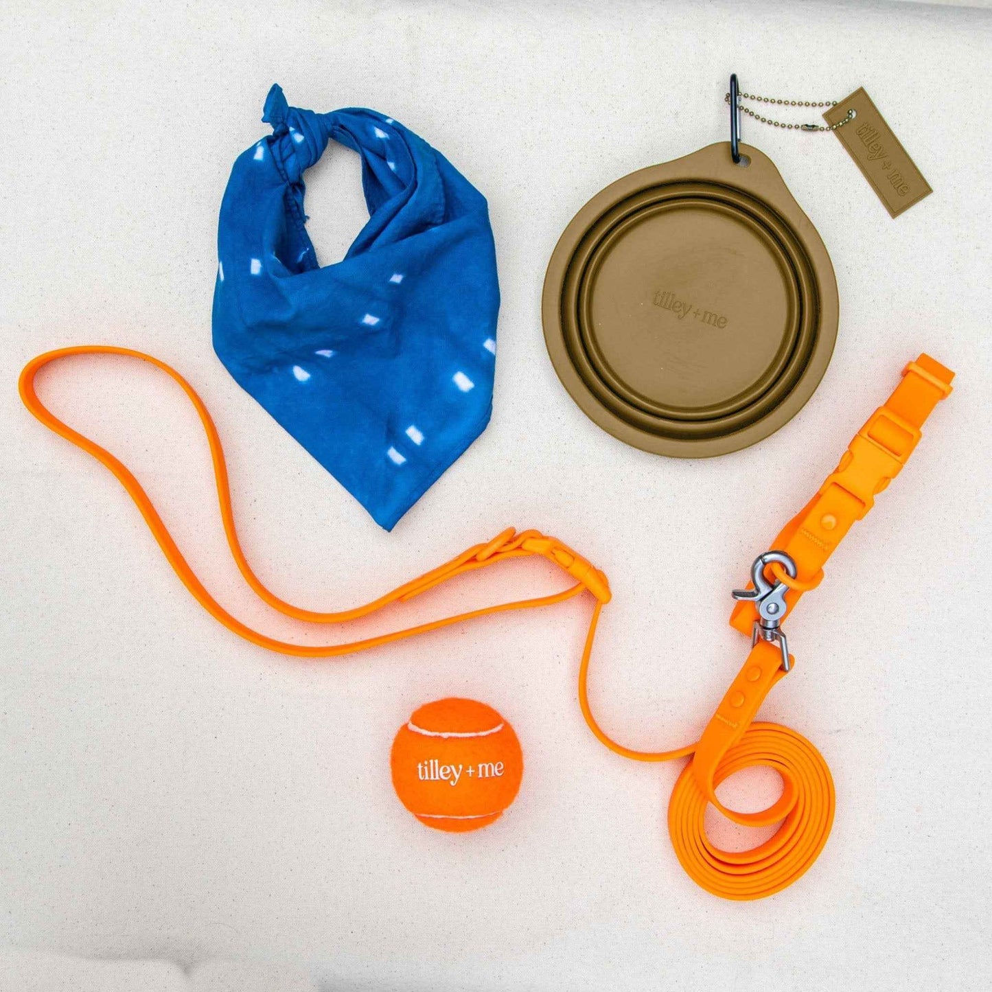 Collapsible Pet Bowl with Clip – Compact, Reusable and Easy to Clean