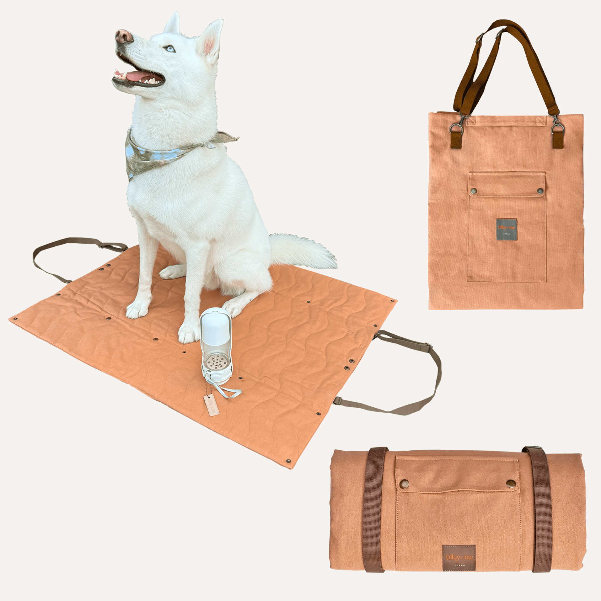 Convertible Dog Bag - Portable Travel Mat Bag for Pet Owners - Lolomo!
