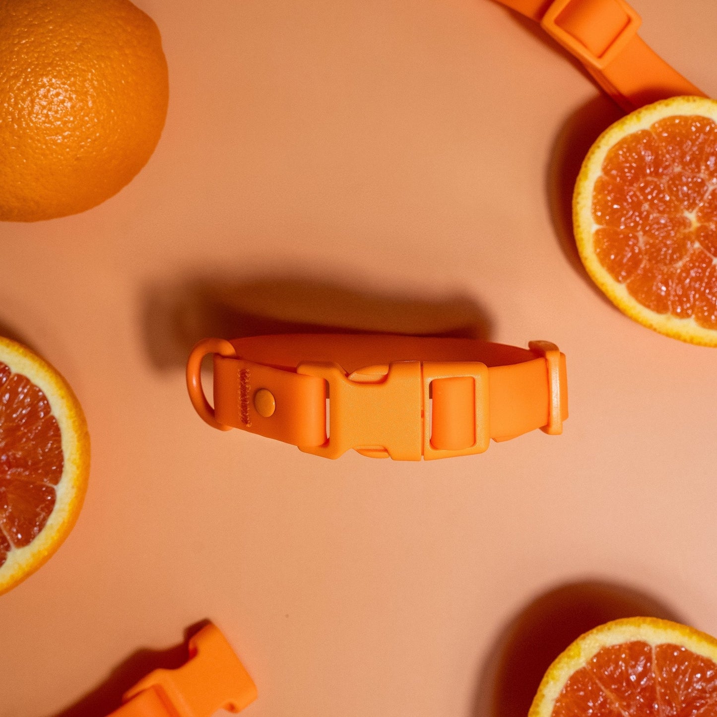 Correa de PVC para perros con manos libres: resistente al agua, a la intemperie, duradera y a los olores.