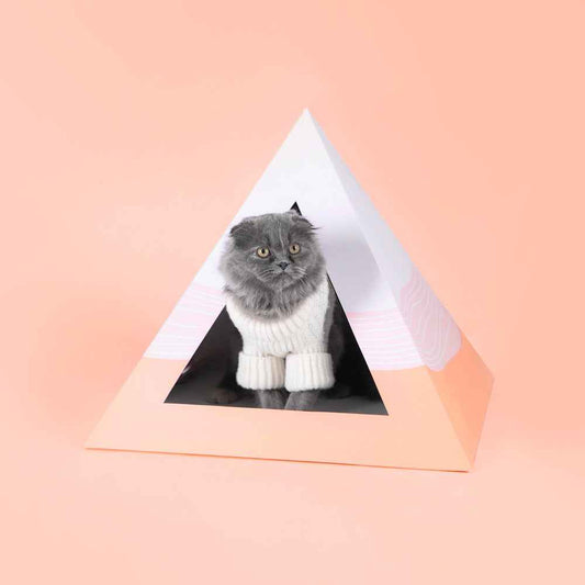 'Wavey' Cardboard Cat Pyramid
