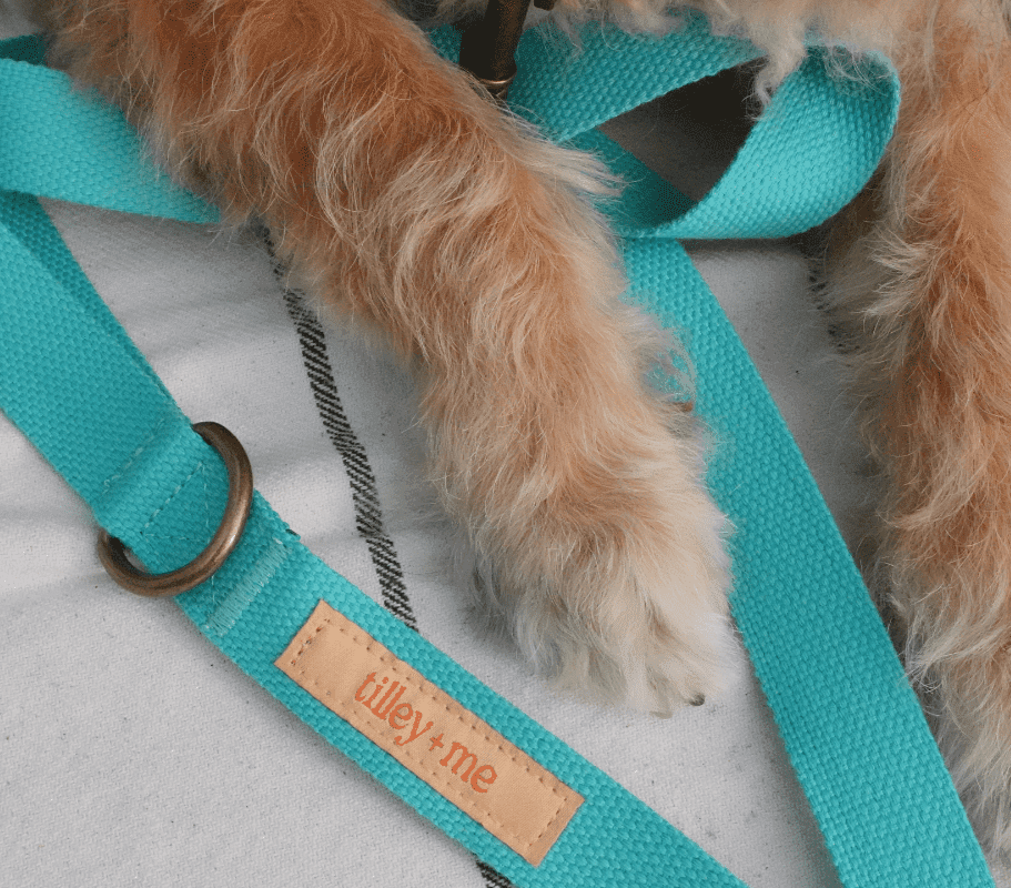 Malibu Sunset Sustainable Hemp Cotton Adjustable Dog Leash – Durable & Soft - Lolomo!
