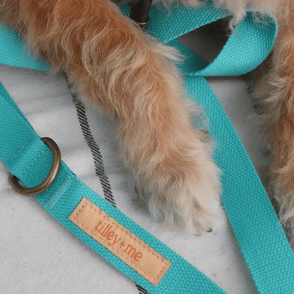Malibu Sunset Sustainable Hemp Cotton Adjustable Dog Collar– Durable & Soft - Lolomo!