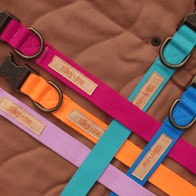 Malibu Sunset Sustainable Hemp Cotton Adjustable Dog Leash – Durable & Soft - Lolomo!