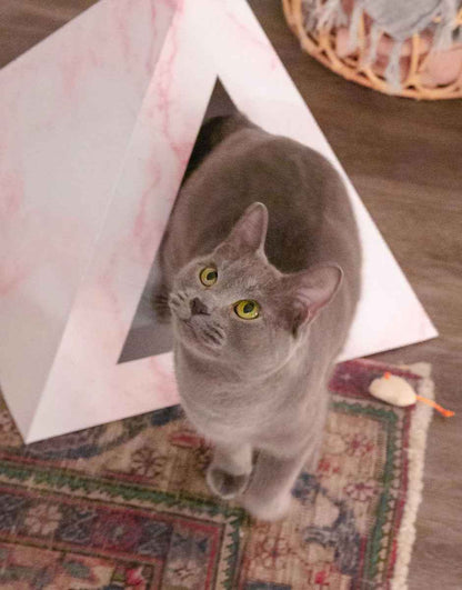 'Rose Quartz' Cardboard Cat Pyramid